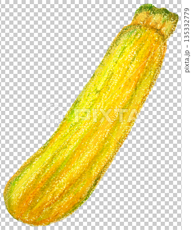 黄色のズッキーニのイラスト オイルパステル画 135332779