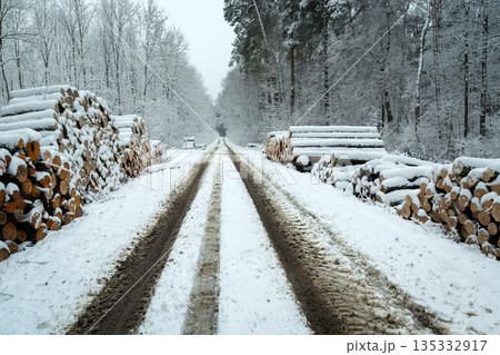 Snow in the forest with a straight road and felled timber on the side 135332917