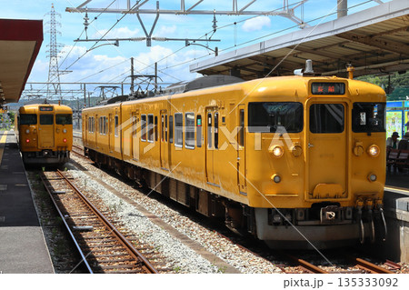 伯備線/赤穂線115系電車(2両編成) 伯備線/赤穂線115系電車(2両編成) 135333092