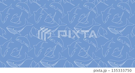 Seamless pattern with humpback whale, shark, stingray fish and killer whale on blue background in line art style. Background for marine and aquatic summer design. 135333750