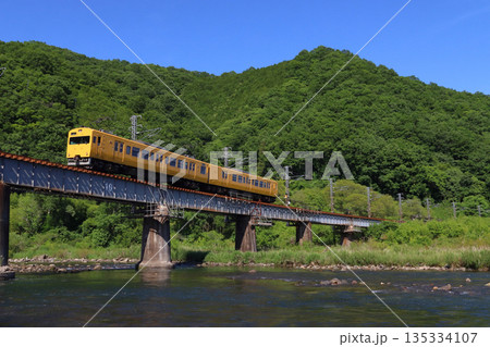 新緑の高梁川を渡る伯備線115系2両編成 135334107