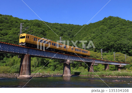 新緑の高梁川を渡る伯備線115系2両編成 135334108