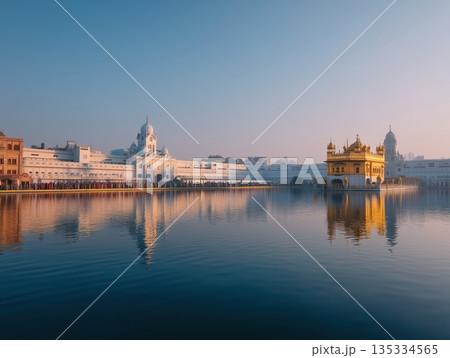 Harmandir sahib. Also known as the golden temple. Glowing under the sunrise with a clear reflection in the amrit sarovar sacred pool. India 135334565