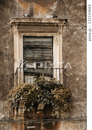 Weathered Window With Flower Boxes: Aged Plaster Facade, Wooden Shutters, And Potted Plants Creating Quiet Mediterranean Urban Detail Weathered Window With Flower Boxes: Aged Plaster Facade, Wooden Shutters, And Potted Plants Creating Quiet Mediterranean Urban Detail 135334668
