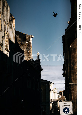 Light And Shadow On Catania Street Wall: Italian Sicilian Urban Scene With Weathered Facade, Window, And Street Lamp In Strong Sunlight Light And Shadow On Catania Street Wall: Italian Sicilian Urban Scene With Weathered Facade, Window, And Street Lamp In Strong Sunlight 135334669