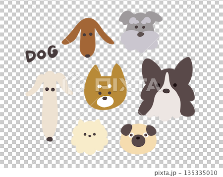 さまざまな犬種のかわいい犬の顔 フラットデザインイラストセット 135335010