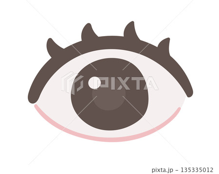 医療や健康説明に使える 目のイラスト 135335012