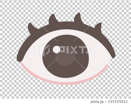 Eye illustrations that can be used for medical and health explanations 135335012