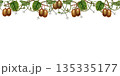 Horizontal seamless border with kiwi fruits on green branches with leaves. Watercolor frame template in a botanical style on a white background for labels, textured backgrounds, and scrapbooking 135335177