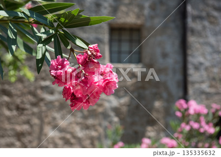 Ancient buildings with flowers on Rhodes island, Greece Ancient buildings with flowers on Rhodes island, Greece 135335632