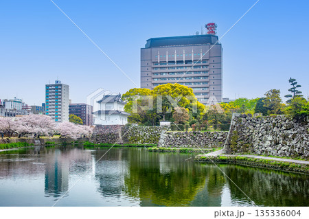 大分城址公園の桜と県庁舎 大分城址公園の桜と県庁舎 135336004