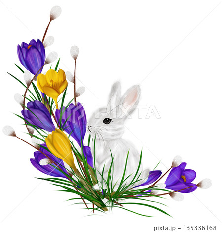 Easter composition with a rabbit violet and yellow crocuses, colourful eggs, willow vines Easter composition with a rabbit violet and yellow crocuses, colourful eggs, willow vines 135336168