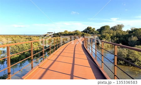 Tranquil Trail Through Lush Scenery, Serene Route Surrounded By Lush Vegetation And Coastal Beauty, Relaxing Journey Along Gentle Trail Amidst Abundant Green Landscapes And Scenic Seaside Views 135336583