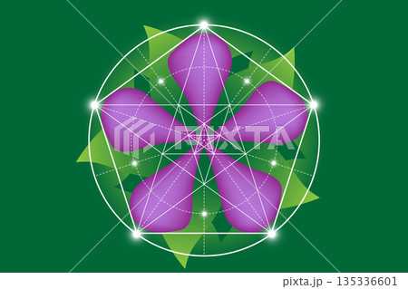 Sacred geometry spiritual new age futuristic symbol, Mystical purple flower, circles, Pentagon and glowing particles. Sacred natural vector illustration isolated on green nature background Sacred geometry spiritual new age futuristic symbol, Mystical purple flower, circles, Pentagon and glowing particles. Sacred natural vector illustration isolated on green nature background 135336601