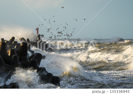 Powerful Baltic Sea storm with crashing waves and seagulls at Liepaja harbor breakwater in winter Powerful Baltic Sea storm with crashing waves and seagulls at Liepaja harbor breakwater in winter 135336945
