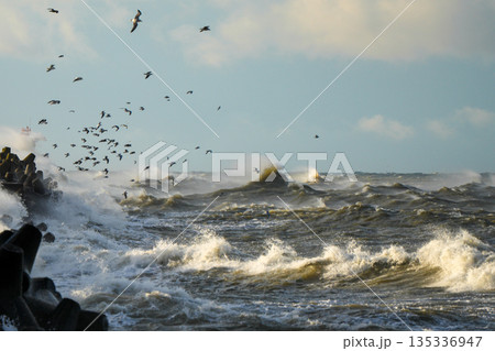 Storm waves crash against Liepaja harbor breakwater with seagulls flying above, Baltic Sea coastline Storm waves crash against Liepaja harbor breakwater with seagulls flying above, Baltic Sea coastline 135336947
