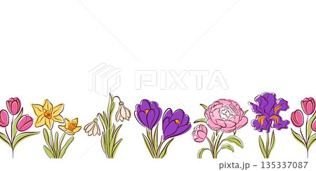 Floral bottom border with line art style spring flower snowdrop, iris, daffodil, tulip, crocus, peony. Botanical background with space for greeting card, invitation, banner, poster, stationery design. 135337087
