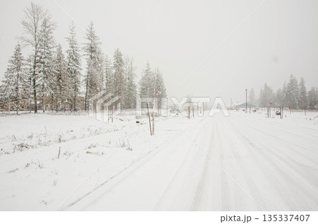 Snow Covered Rural Road During Winter Snowfall in Idaho Snow Covered Rural Road During Winter Snowfall in Idaho 135337407