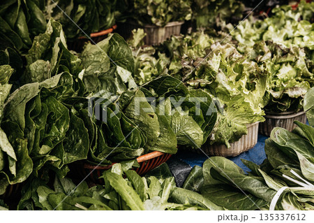Fresh Seasonal Vegetables At Traditional Market Stall: Artichokes, Beans, Cabbage, Zuccini, Potatoes, And Root Vegetables Displayed In Abundant Mediterranean Food Market Scene Fresh Seasonal Vegetables At Traditional Market Stall: Artichokes, Beans, Cabbage, Zuccini, Potatoes, And Root Vegetables Displayed In Abundant Mediterranean Food Market Scene 135337612