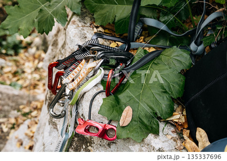 Traditional Rock Climbing Gear With Tube On Rock Surface: Quick Draws, Carabiners, And Tubular Webbing Resting On Limestone With Green Leaves 135337696