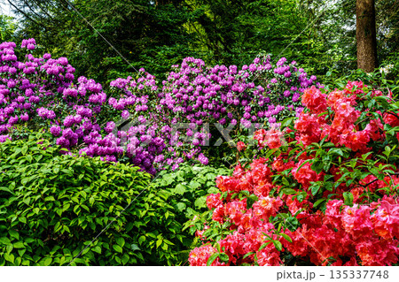 The Botanical Garden of Munich in Germany with garden pathes and topiary boxwood bushes on green meadows The Botanical Garden of Munich in Germany with garden pathes and topiary boxwood bushes on green meadows 135337748