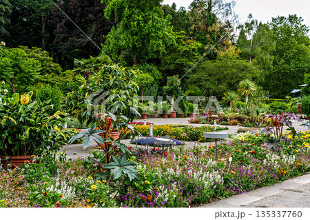 The Botanical Garden of Augsburg in Germany with garden pathes and topiary boxwood bushes on green meadows The Botanical Garden of Augsburg in Germany with garden pathes and topiary boxwood bushes on green meadows 135337760