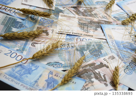 ears of wheat of black color on a fan of Russian rubles on a black background ears of wheat of black color on a fan of Russian rubles on a black background 135338693