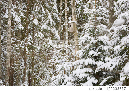 it is snowing heavily in the park, large flakes of snow are slowly falling on tree branches, no people it is snowing heavily in the park, large flakes of snow are slowly falling on tree branches, no people 135338857