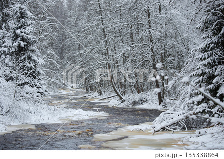 a calm winding river in a snowy forest, trees under the snow in the forest, peace and quiet, reflection on the water, without people a calm winding river in a snowy forest, trees under the snow in the forest, peace and quiet, reflection on the water, without people 135338864