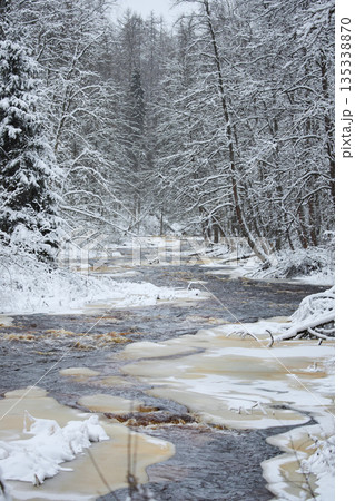 a calm winding river in a snowy forest, trees under the snow in the forest, peace and quiet, reflection on the water, without people 135338870