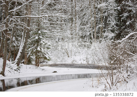 a calm winding river in a snowy forest, trees under the snow in the forest, peace and quiet, reflection on the water, without people 135338872