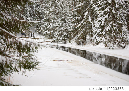 a calm winding river in a snowy forest, trees under the snow in the forest, peace and quiet, reflection on the water, without people 135338884
