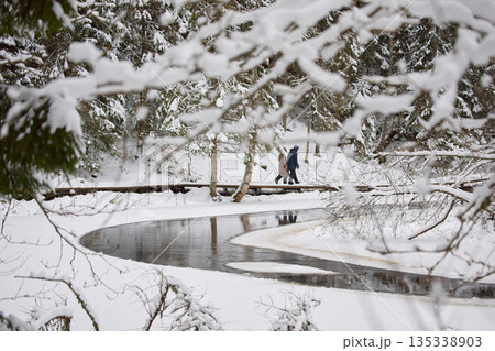 a calm winding river in a snowy forest, trees under the snow in the forest, peace and quiet, reflection on the water, without people 135338903