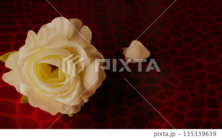White artificial rose blooming, showing delicate fabric petals.Horizontal textured red background White artificial rose blooming, showing delicate fabric petals.Horizontal textured red background 135339639