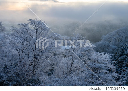 霧氷をまとった雪山の朝 135339650
