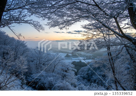 霧氷をまとった雪山の朝 135339652