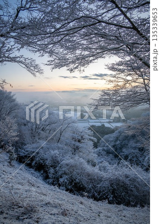 霧氷をまとった雪山の朝 霧氷をまとった雪山の朝 135339653