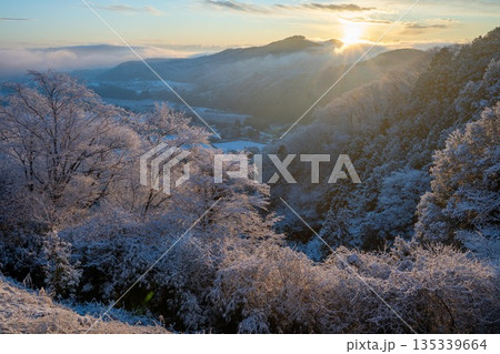 霧氷をまとった雪山の朝 霧氷をまとった雪山の朝 135339664