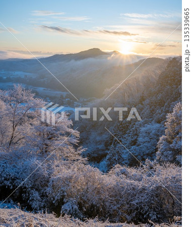 霧氷をまとった雪山の朝 霧氷をまとった雪山の朝 135339665
