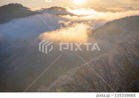 霧氷をまとった雪山の朝 135339668
