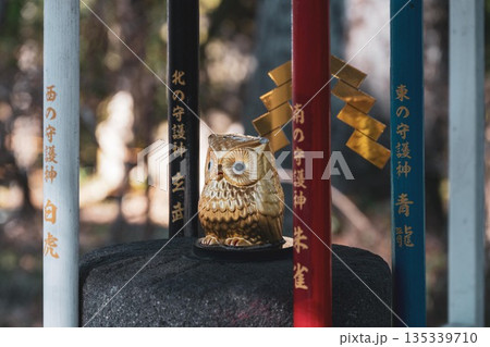 金運アップ 鷲子神社 金運アップ 鷲子神社 135339710