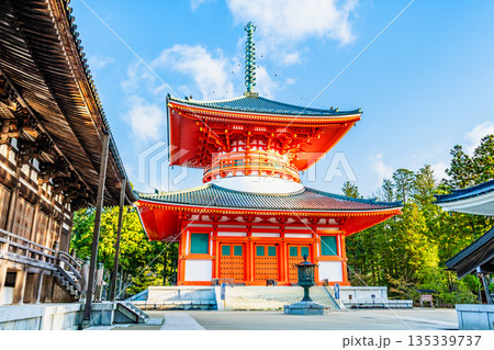 高野山 壇上伽藍 根本大塔 高野山 壇上伽藍 根本大塔 135339737