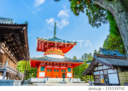 高野山 壇上伽藍　根本大塔 135339742