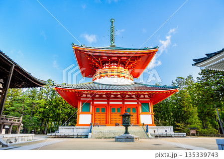 高野山 壇上伽藍 根本大塔 高野山 壇上伽藍 根本大塔 135339743