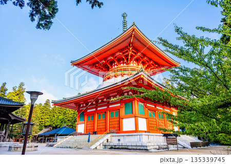 高野山 壇上伽藍 根本大塔 高野山 壇上伽藍 根本大塔 135339745