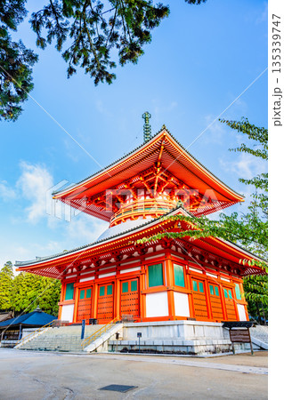 高野山 壇上伽藍　根本大塔 135339747