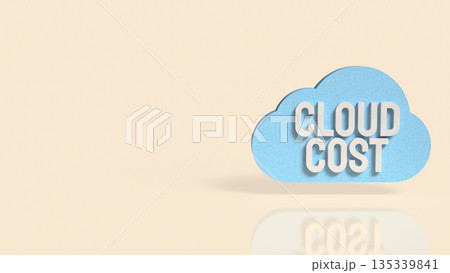 Cloud Cost Management Concept with 3D Typography and Minimal Design 3d render. 135339841