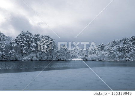 厳冬期の裏磐梯の雪景色 厳冬期の裏磐梯の雪景色 135339949