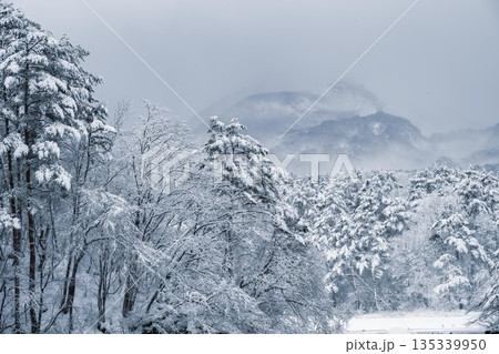 厳冬期の裏磐梯の雪景色 厳冬期の裏磐梯の雪景色 135339950