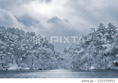 厳冬期の裏磐梯の雪景色 厳冬期の裏磐梯の雪景色 135339953